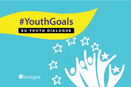 Youth Participation and the European Youth Goals